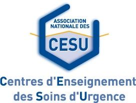 Les CESU AURA